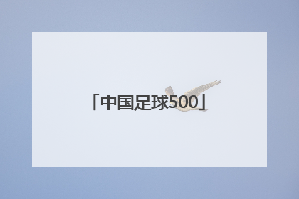 「中国足球500」中国足球彩票比分直播网