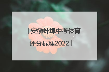 安徽蚌埠中考体育评分标准2022