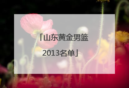 山东黄金男篮2013名单