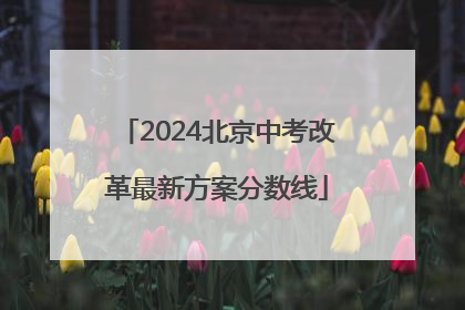 2024北京中考改革最新方案分数线
