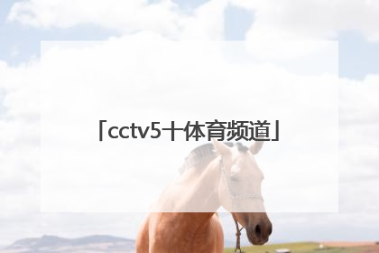 「cctv5十体育频道」CCTV5十体育频道在线直播