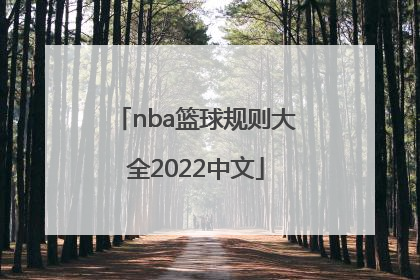 「nba篮球规则大全2022中文」nba犯规规则大全2022中文